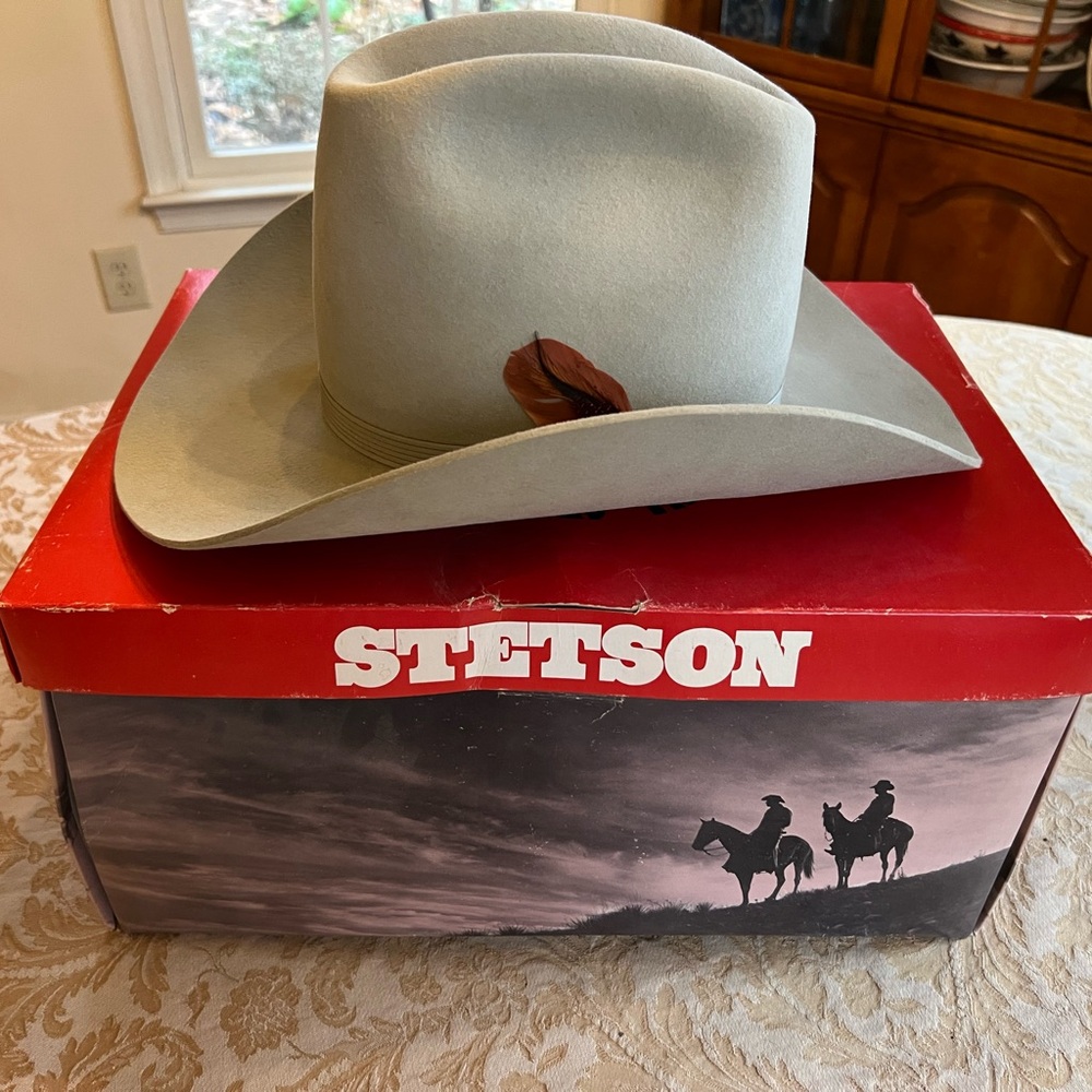 Stetson Light Gray Western Hat with Feather